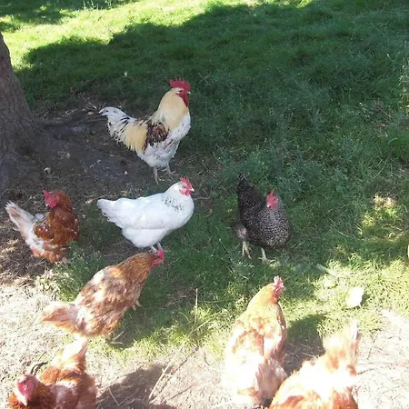 Apartament Ferienhof-heidemann-auch-2-erwachsene-2-kinder-moeglich