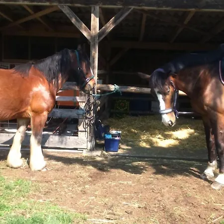 Ferienhof-heidemann-auch-2-erwachsene-2-kinder-moeglich