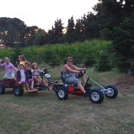 Ferienhof-heidemann-auch-2-erwachsene-2-kinder-moeglich Apartament Neustadt am Rübenberge