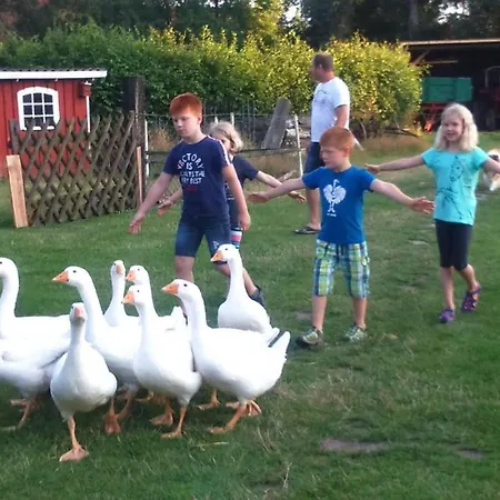 Ferienhof-heidemann-auch-2-erwachsene-2-kinder-moeglich Apartament