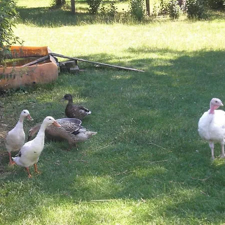 Ferienhof-heidemann-auch-2-erwachsene-2-kinder-moeglich