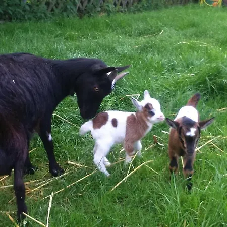 Ferienhof-heidemann-auch-2-erwachsene-2-kinder-moeglich *