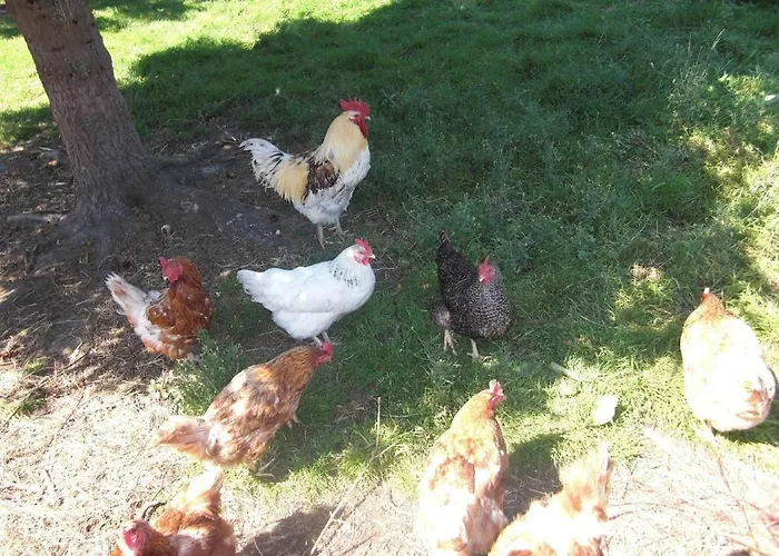 Appartement Ferienhof-heidemann-auch-2-erwachsene-2-kinder-moeglich