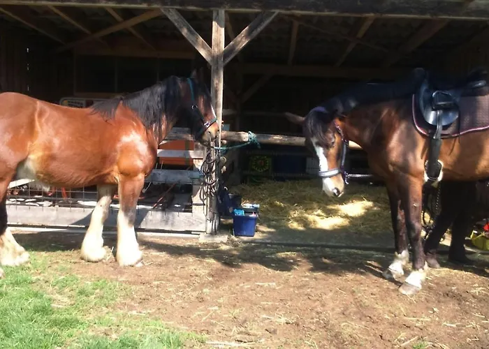 Ferienhof-heidemann-auch-2-erwachsene-2-kinder-moeglich