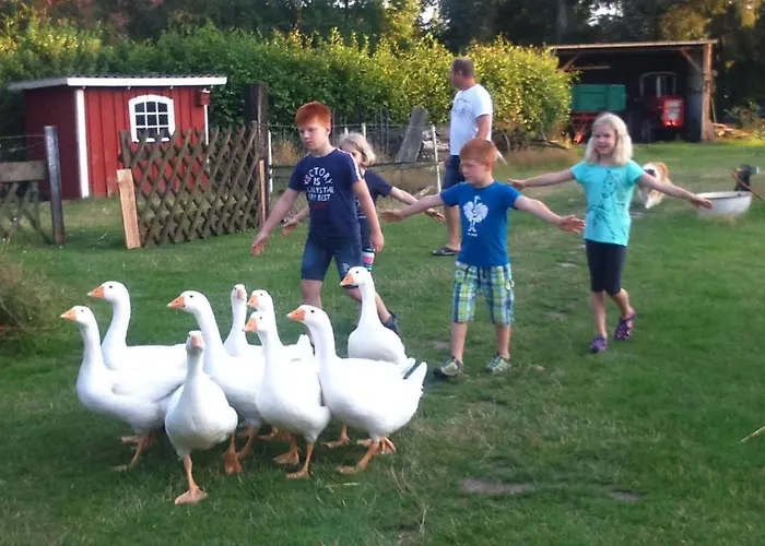 Ferienhof-heidemann-auch-2-erwachsene-2-kinder-moeglich Daire
