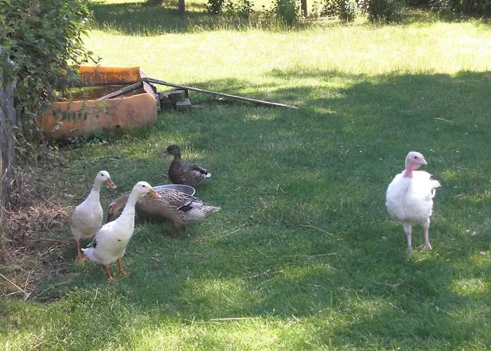 Ferienhof-heidemann-auch-2-erwachsene-2-kinder-moeglich